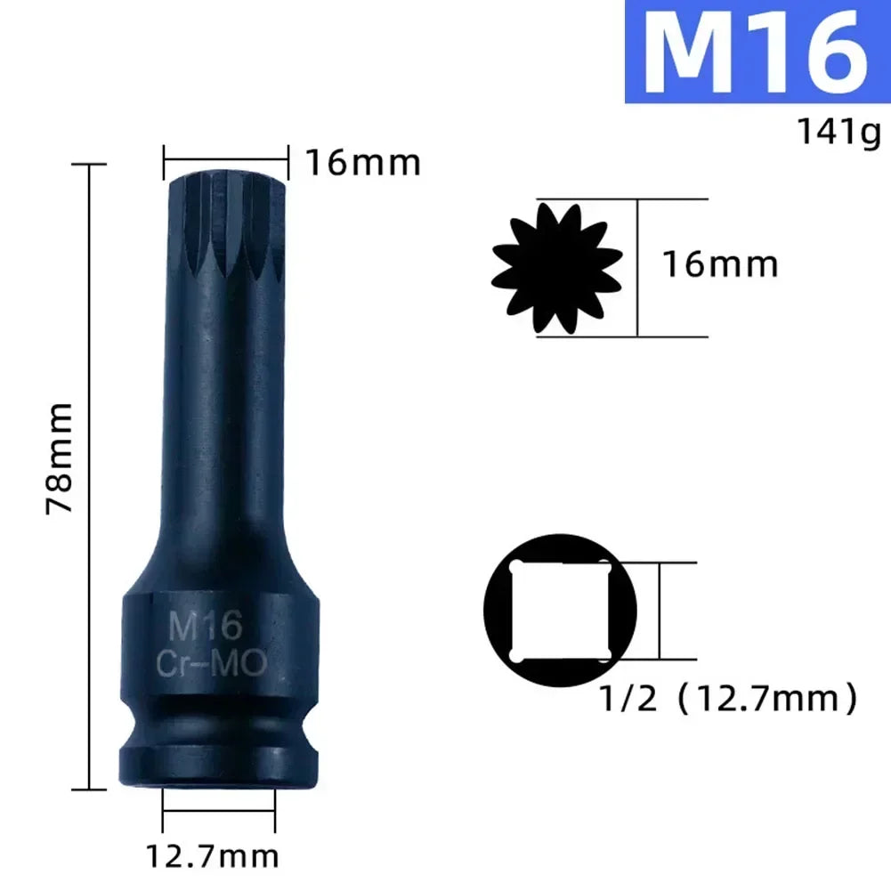 Schlagschraubernüsse-Set M5-M19 | 1/2" Antrieb 12-kant